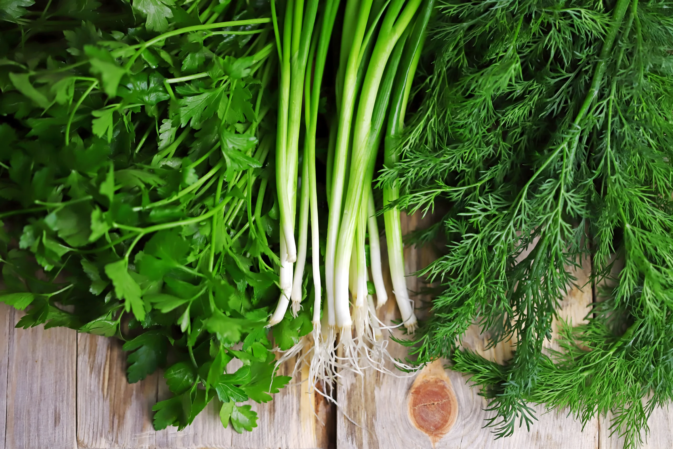 Hierbas aromáticas